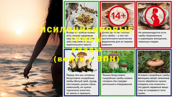ПСИЛОЦИБИНОВЫЕ ГРИБЫ Беломорск